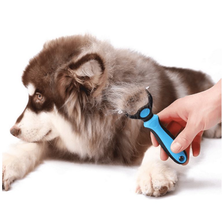 Best dog brush for waitrose blue heeler