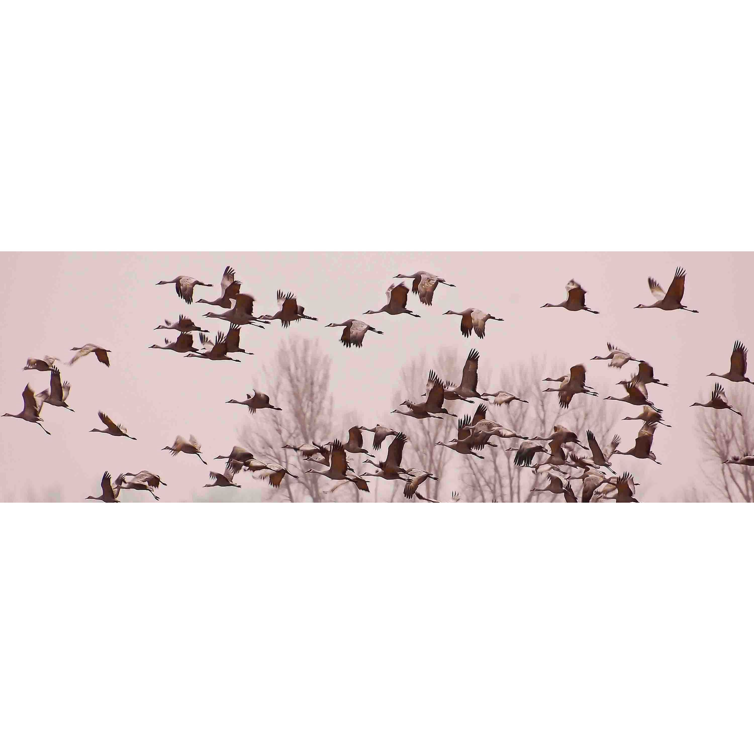 Marmont Hill "Cranes Across the Sky" Painting Print on Canvas