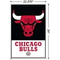 thumbnail image 2 of NBA Chicago Bulls - Logo 21, 2 of 4