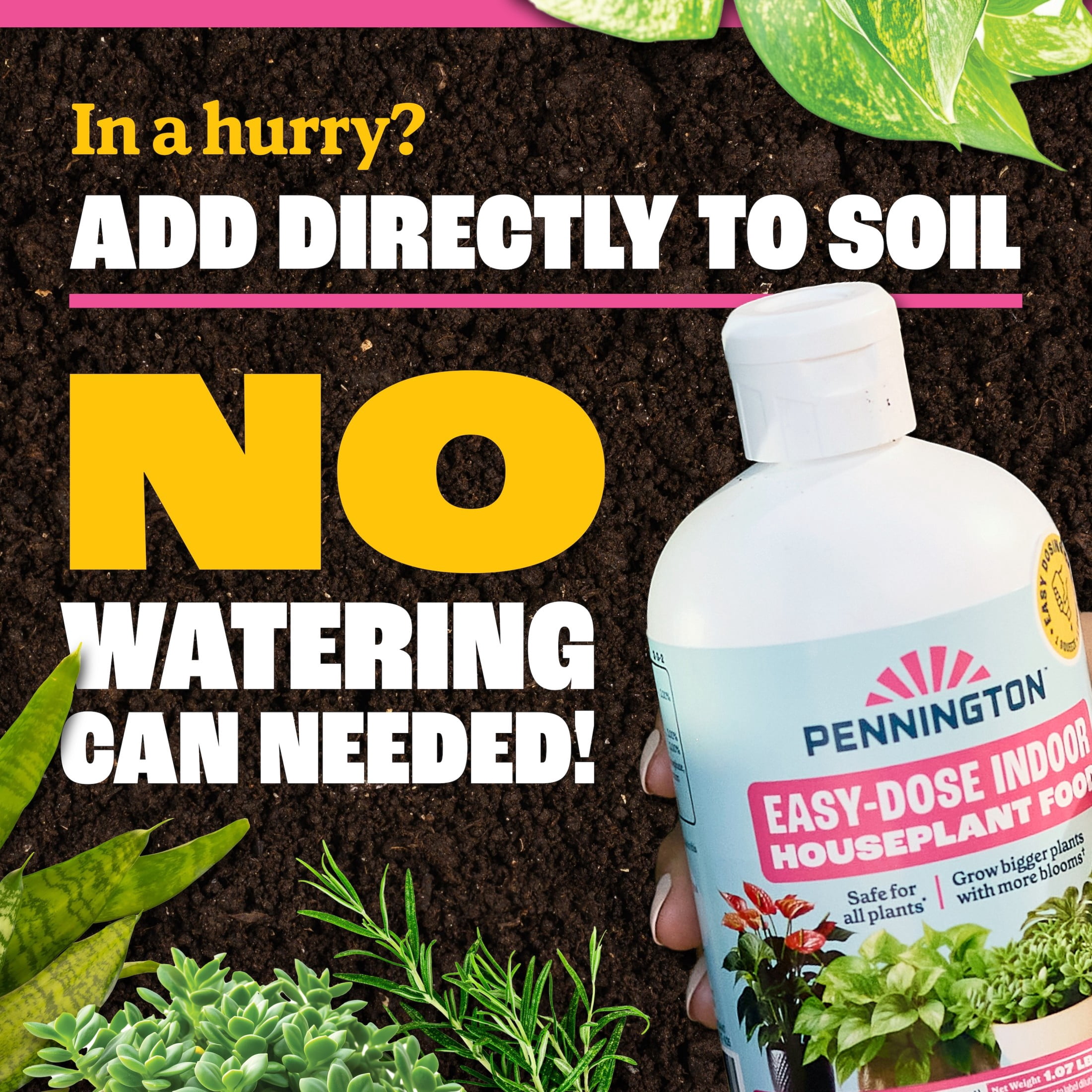 Pennington Easy-Dose Indoor Plant Food 2-3-2 16oz 16oz