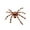 B, variant on Halloween Outdoor Decorations Giant Spider, 4.1 Ft Large Spider for Yard Lawn Garden Patio Scary Halloween Outside Decor, Indoor Haunted House Prop and Home Party Decor