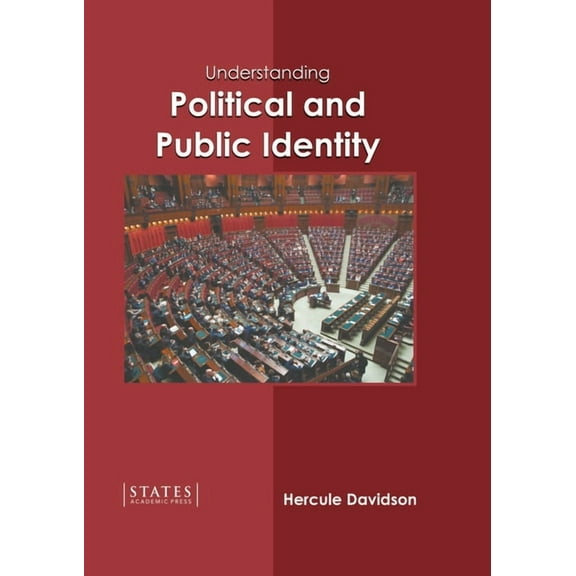 Understanding Political and Public Identity, (Hardcover)