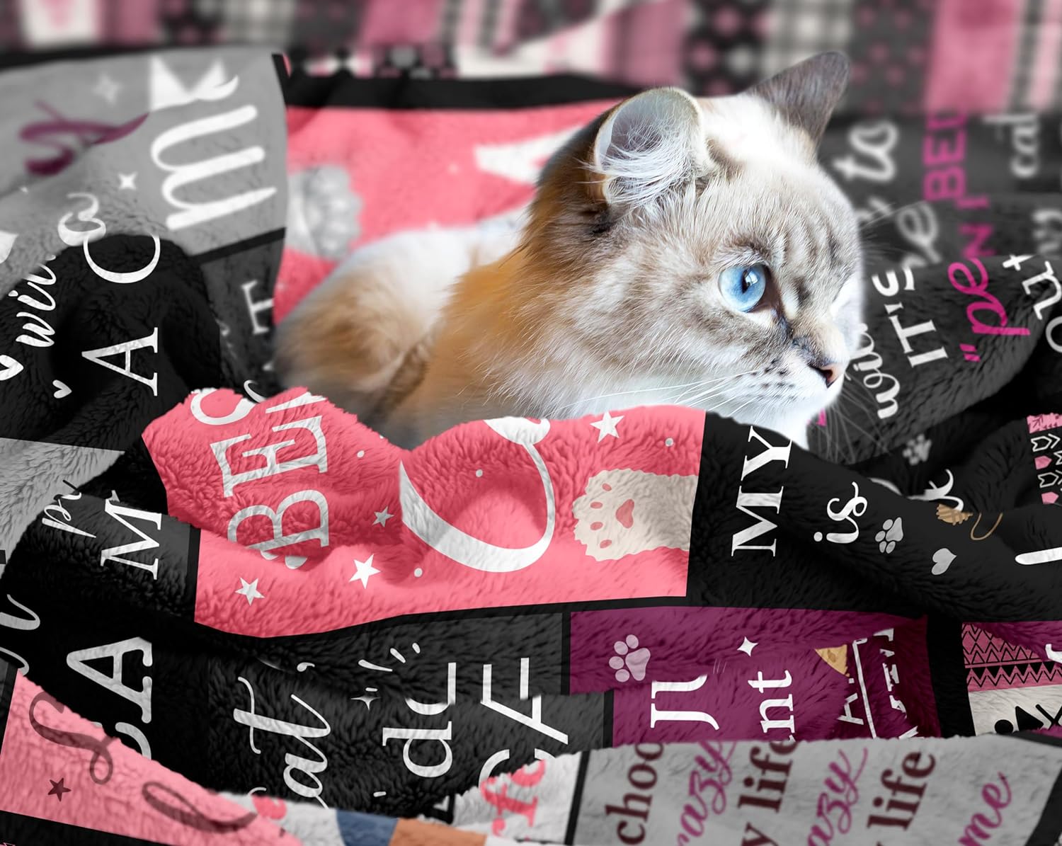Cat Mom Gifts, Cat Gifts for Women, Cat Lovers Gifts Throw Blanket 50"x60", Funny Cat Gifts for Girls, Cat Themed Gifts, Cat Owner Gifts, Birthday Gifts for Cat Lovers, Cat Mom Blankets