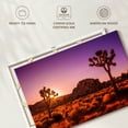 thumbnail image 6 of Elephant Stock Sunlit Joshua Trees Wall Art - Horizontal Canvas Wall Art - Living Room Wall Decor - Floral And Botanical Canvas - Purple And Orange Decor - 51" x 34", 6 of 8