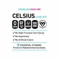 thumbnail image 4 of CELSIUS Sparkling Oasis Vibe Energy Drink Can 12 fl oz - Pack of 2, 4 of 5
