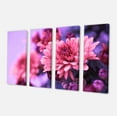 thumbnail image 2 of Chrysanthème Automnal Coloré - Impression sur Toile Florale, 2 of 3