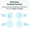 thumbnail image 5 of Klaire Labs SFI Health Ther-Biotic Synbiotic - Prebiotics and Probiotics for Women & Men - 50 Billion CFU Probiotic Capsules with Sunfiber - Digestive Health and Immune Support (30 ct), 5 of 5