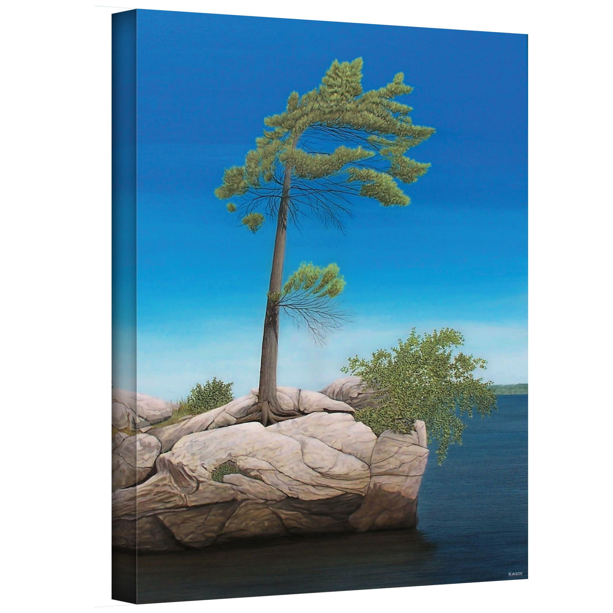 ArtWall Ken Kirsch "Tree Rock" Wrapped Canvas