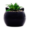 thumbnail image 3 of Mini maceta Sanrio Badtz-Maru de cerámica con plantas suculentas artificiales, 3 of 9