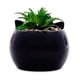 thumbnail image 3 of Mini maceta Sanrio Badtz-Maru de cerámica con plantas suculentas artificiales, 3 of 9