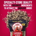 thumbnail image 2 of Mezcla de semillas para aves COOL BIRDS Cardinal & Crew 4,5 kg, 2 of 9