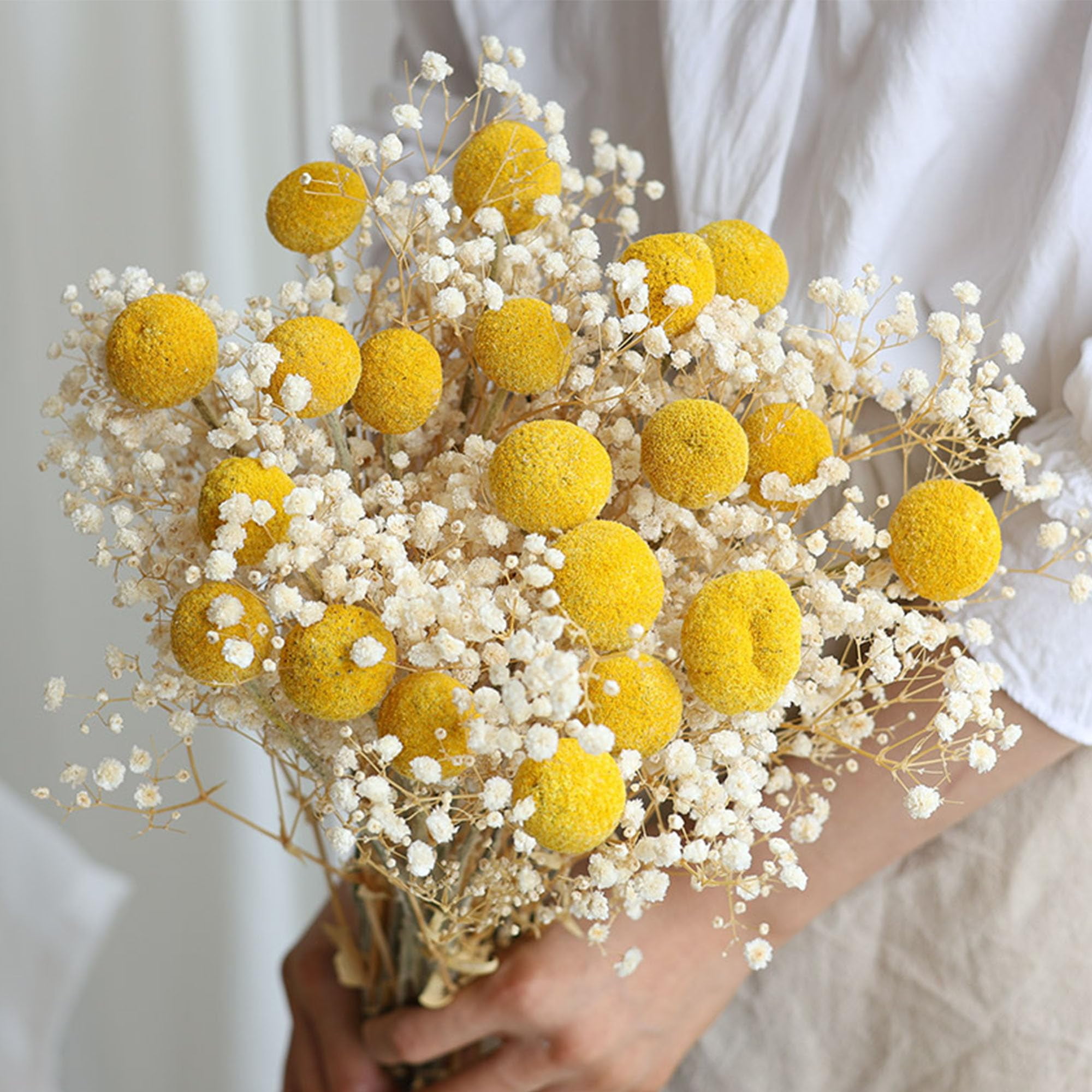 60 Stems Diameter Natural Craspedia Dried Flowers, 16inch Billy Buttons Balls Bouquet Bundles Natural Dried Flowers for DIY Flower Arrangements Home Decor, Yellow