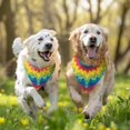 thumbnail image 3 of Dog Bandana 2 Pack,Rainbow Tie Dye Star Mandala Pattern Bandanas for Dogs,Cat Bandana,Small/ Large Dog Bandana 2 Size,Dog Bandanas Girl Boy, 3 of 6