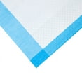 thumbnail image 5 of 2 Pack - Dynarex CHUX Disposable Underpads, 17 x 24 Inch, 100 ct, 5 of 6
