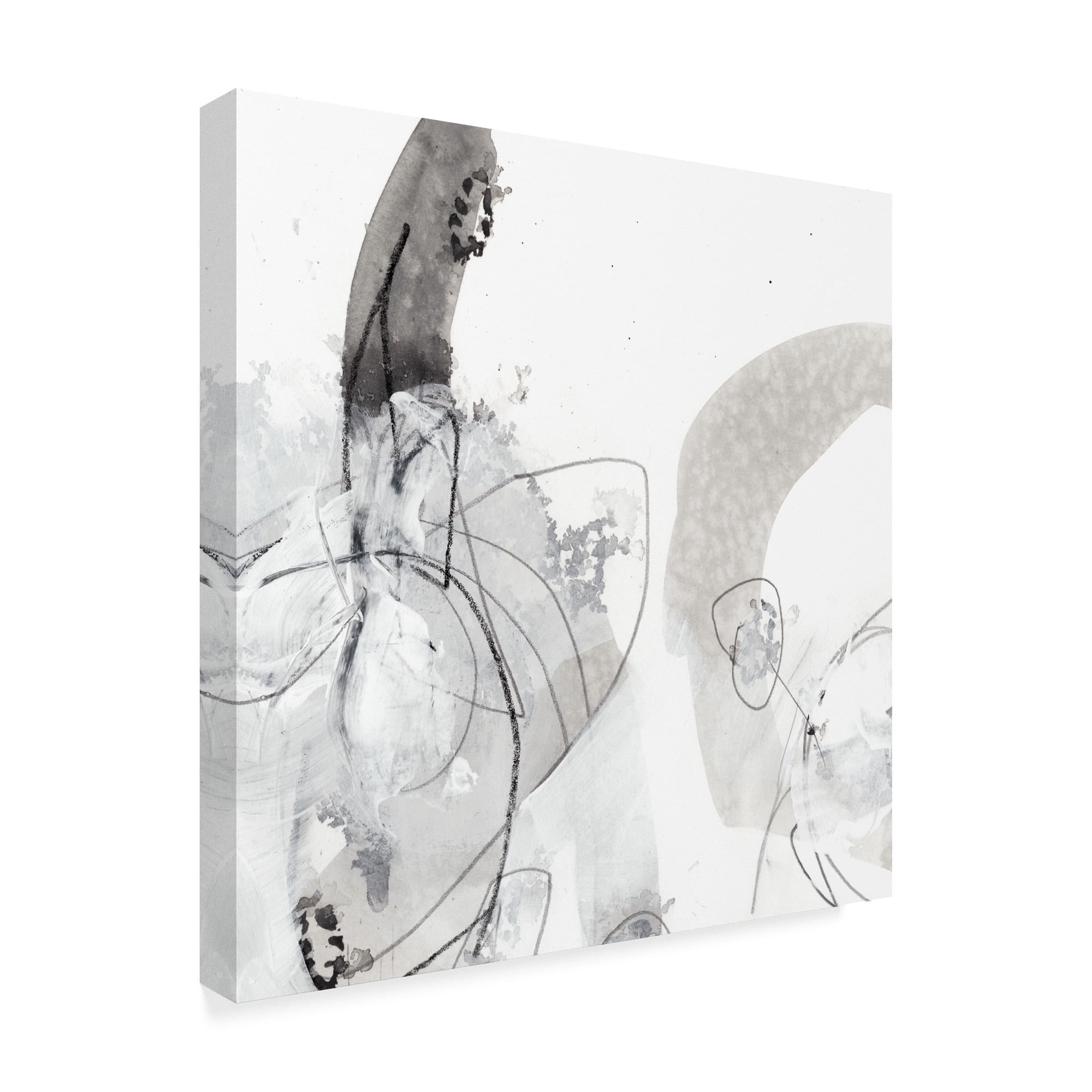 Trademark Fine Art 'Monochrome Gestures III' Canvas Art by June Erica Vess