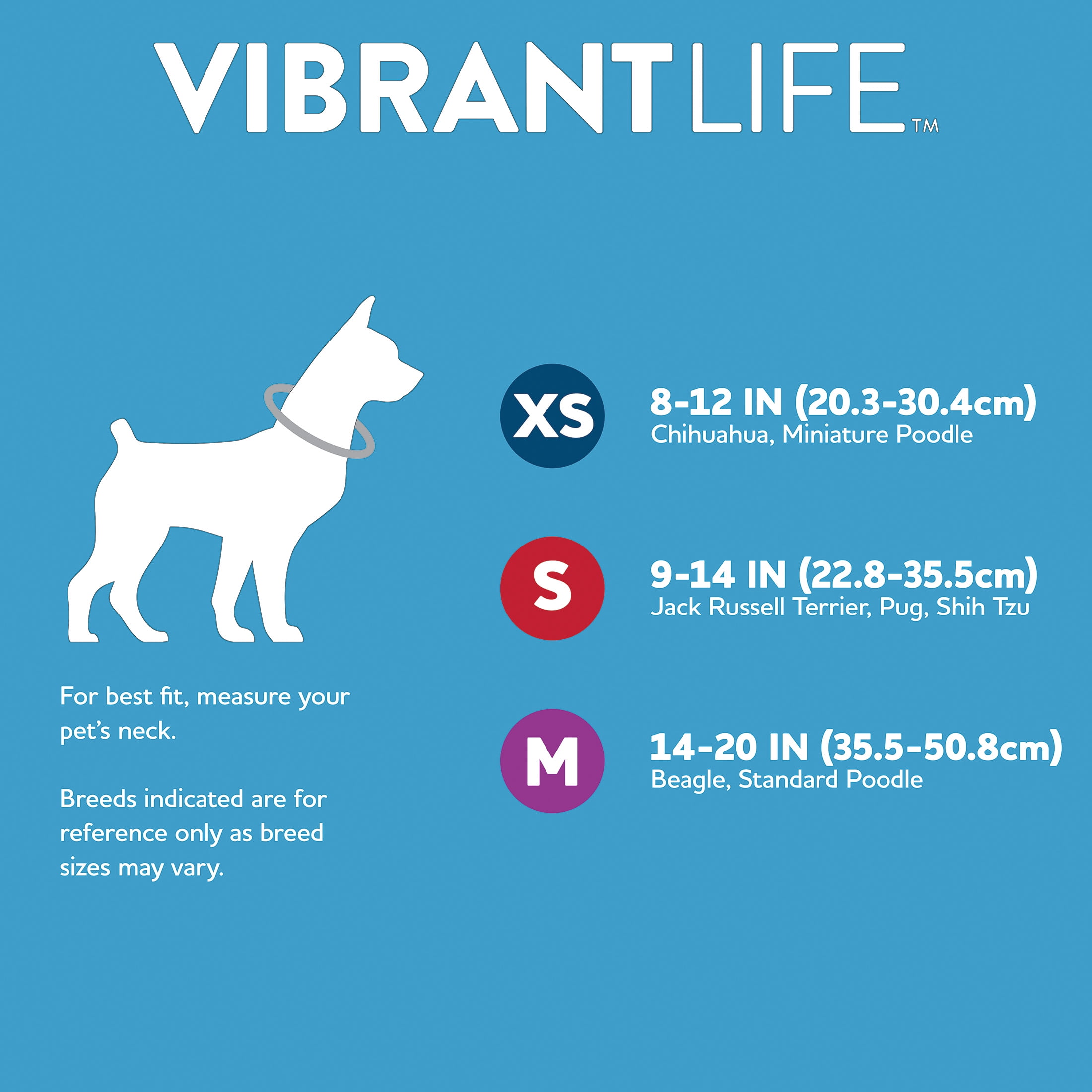Vibrant Life, Dog Clothes, Tie Dye Swirl Pet Hat and Bandana Set, Multi-Color, O/S