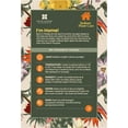 thumbnail image 6 of 2-Pack Of Live Boston Fern Tropical Plants 20-24 in Wide in 10in Hanging Basket by United Nursery, 6 of 11
