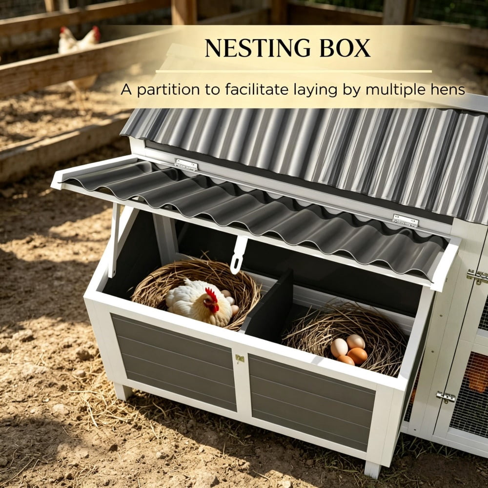 Chicken Coop
