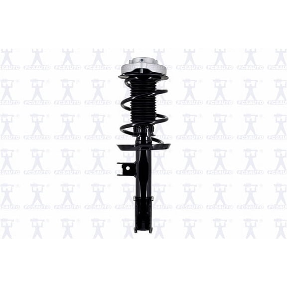 Suspension Strut and Coil Spring Assembly
