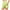Green, variant on Aloohaidyvio Workout Shorts for Women Clearance,Women Tennis Skirt Golf Skorts Athletic High Waisted with Pockets Inner Shorts Sport Workout Pleated Pickleball