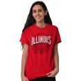 thumbnail image 3 of Illinois IL Student Campus Pride Men's Graphic T Shirt Tees Brisco Brands S, 3 of 6