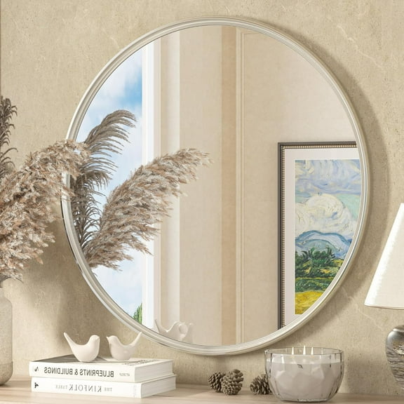 Round Mirror 24 inch Brushed Nickel Mirror for Bathroom