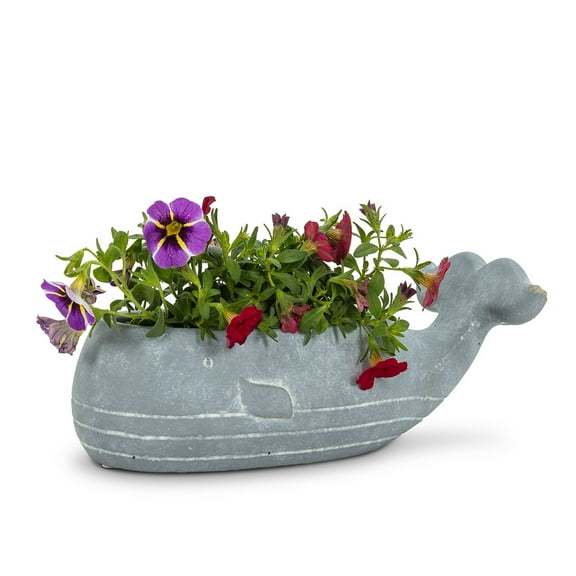 Set of 4 Small Whale Low Planter