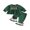 Green, variant on RUINIXCW Toddler Baby Girl Christmas Outfit Long Sleeve Tops and Bell Bottoms 2Pcs