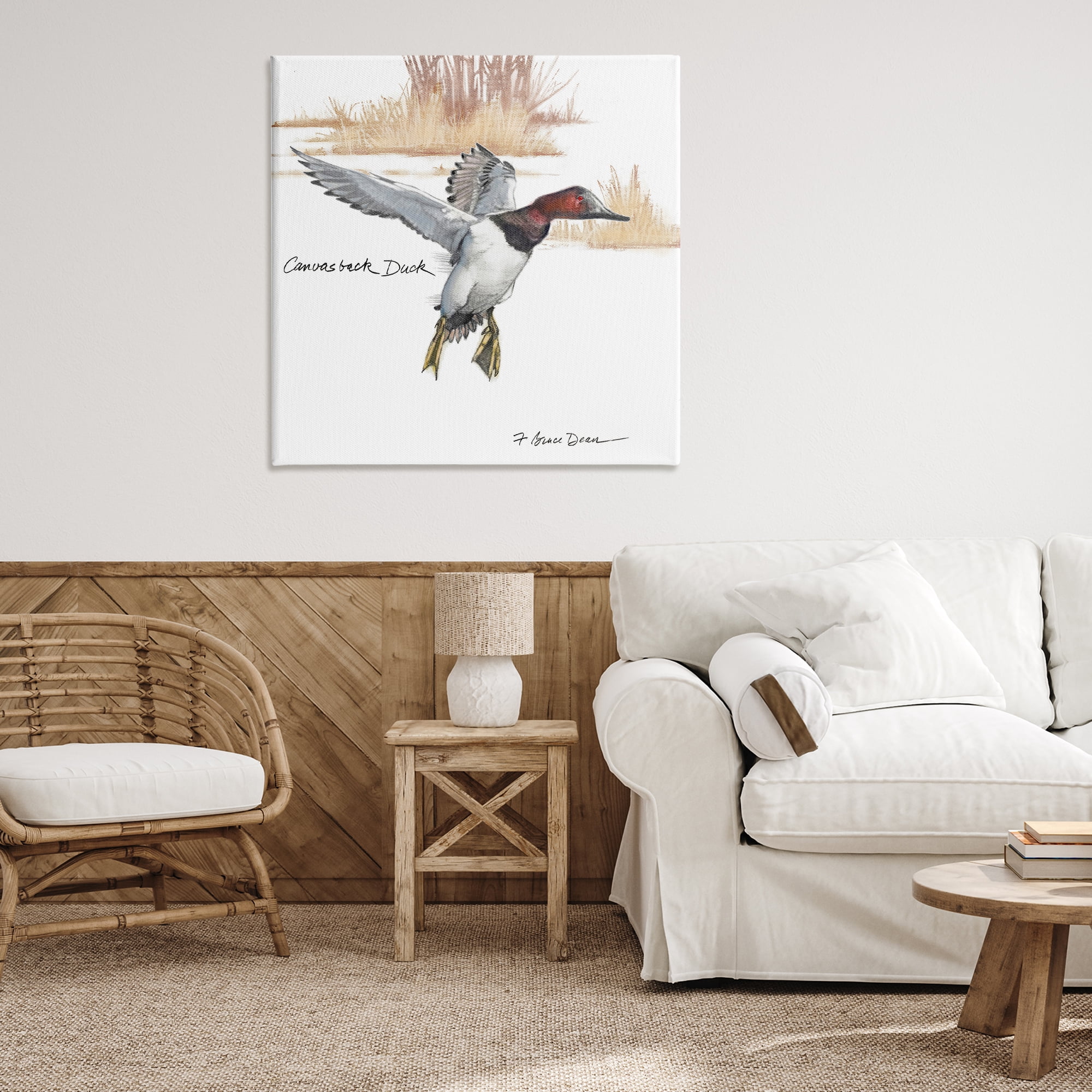 Stupell Industries Canvasback Duck Flying Animals Painting Wrapped Canvas Art Print Wall Art, 36 x 36