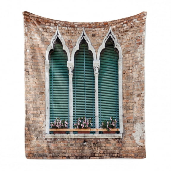 Venice Soft Flannel Fleece Throw Blanket, Traditional Gothic Style Windows with Flower Pots on Brick Wall, Cozy Plush for Indoor and Outdoor Use, 60" x 80", Pale Brown White Blue, by Ambesonne