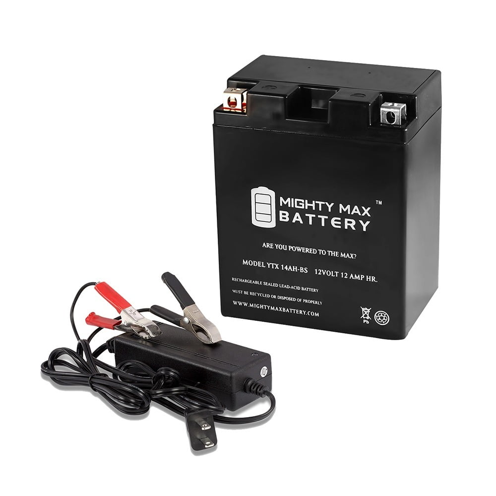 Mighty Max YTX5L-BS Battery for 00-01 Cannondale EX Motorcycle 12V 1AMP CHARGE