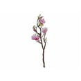 thumbnail image 1 of Magnolia Large Spray Purple Pink, 1 of 1