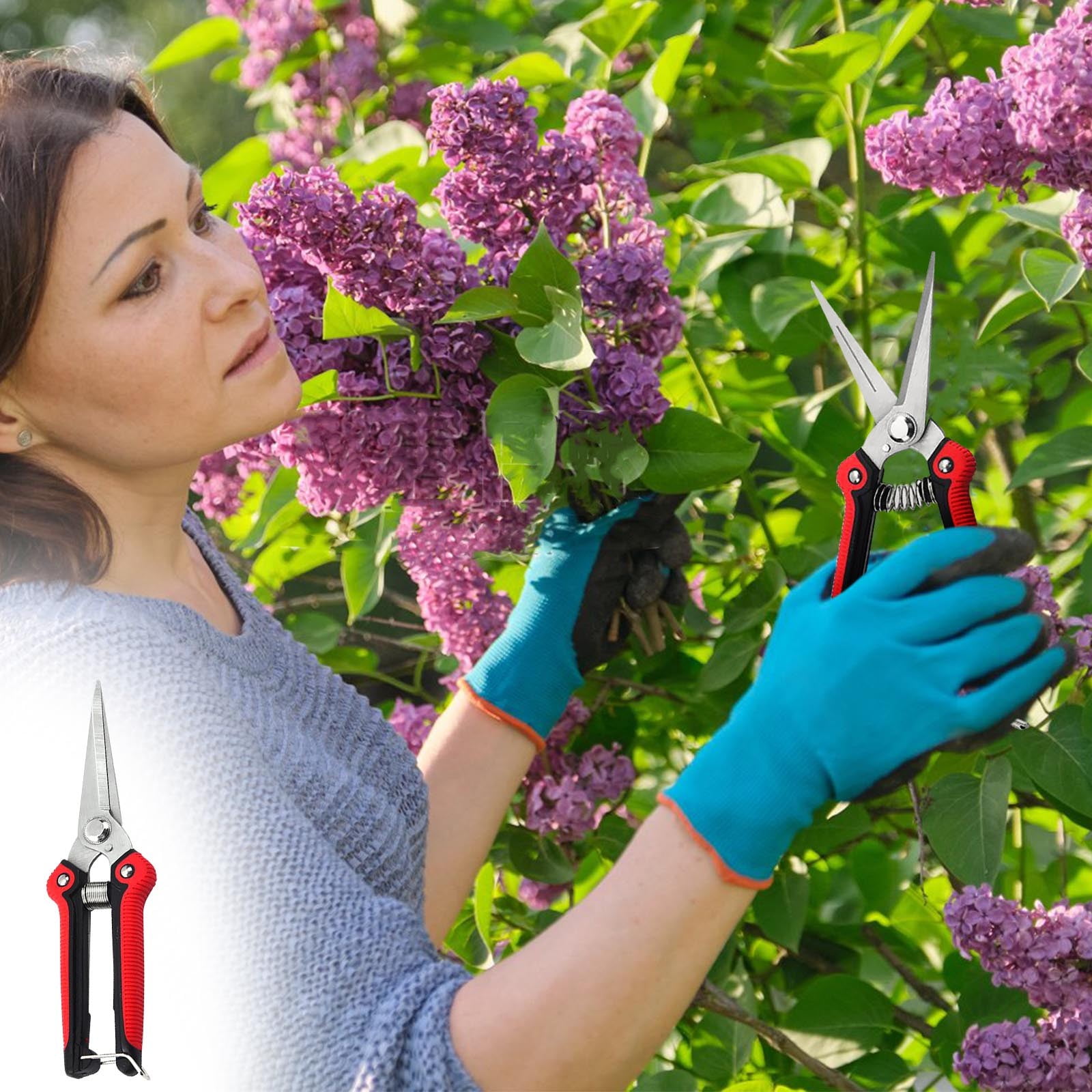Garden Pruning Shears Stainless Steel Fruit Tree Pruning Shears Picking Fruit Scissors Pointed Tip Pruning Shears
