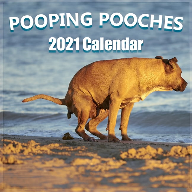 dogs-pooping-in-beautiful-places-2023-calendar-january-2023-december-2023-square-monthly