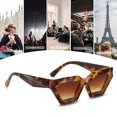 thumbnail image 5 of Gafas de sol poligonales de montura gruesa europeas y americanas, gafas de sol de moda personalizadas, hechas de PC, 5 of 5
