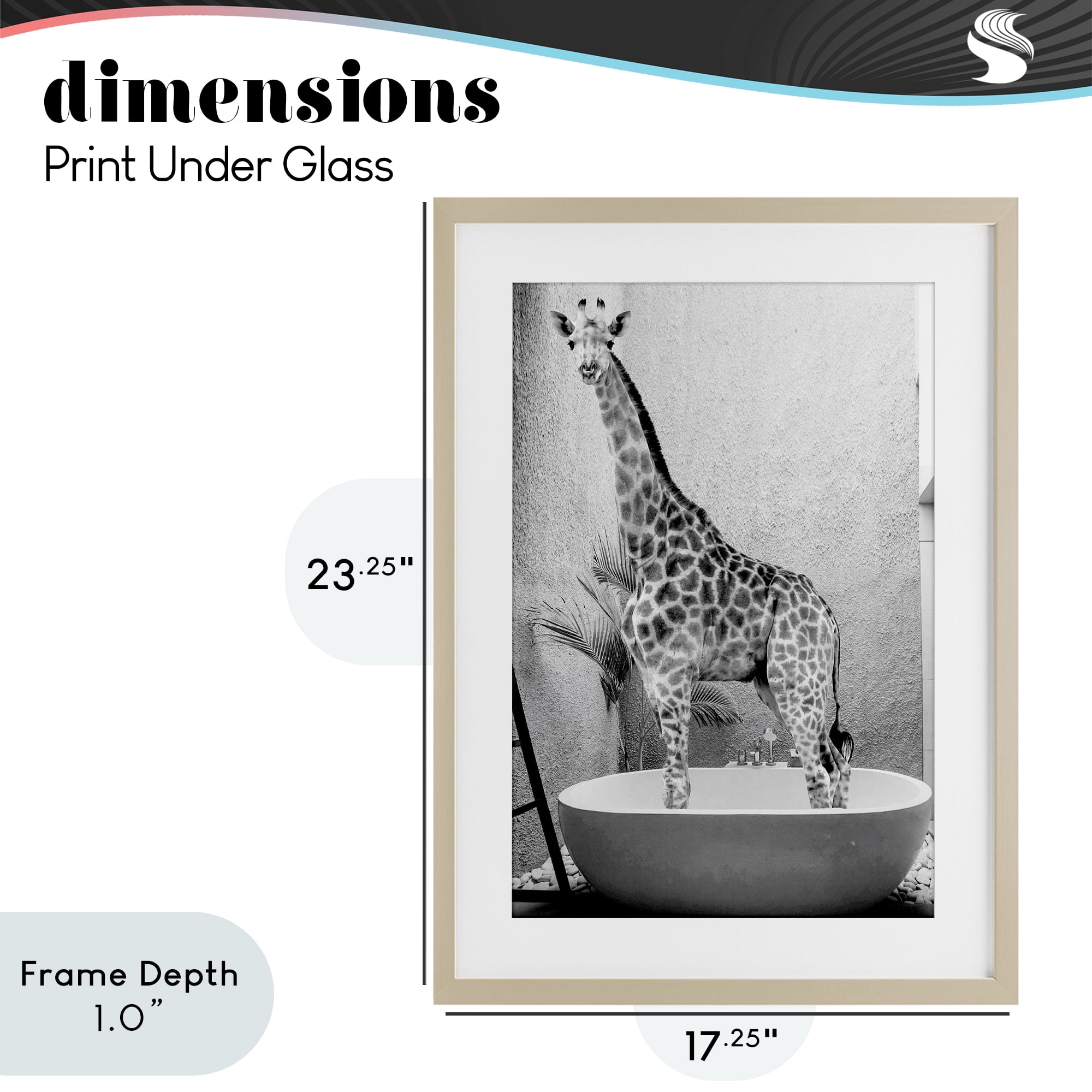 Stupell Industries Safari Bath Standing Tall Birch Framed Print Under Glass, design by SD Graphics Studio