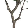 thumbnail image 6 of Christopher Knight Home 51" Artificial Ficus Tree in Black Plastic Pot, Pre-Potted Faux Greenery Tree for Home Decor, 6 of 9