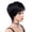 Black-2, variant on Human Hair Blend Wig for Women, Shoulder Length Straight Wig, Natural Looking Full Hair Wig, Heat Friendly Synthetic and Human Hair Blend Wig for Daily Wear(White,One Size)