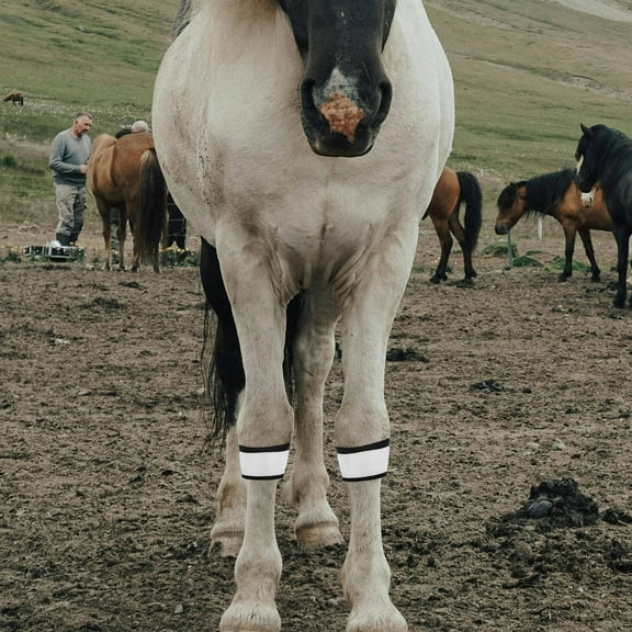 PBPBOX 4Pcs White Cloth LED Light Up Horse Leg Band for Equestrian Riding Equipment 13.6x1.7x0.1in