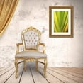 thumbnail image 3 of Ross, Nancy ,  Steve 17x24 Gold Ornate Wood Framed with Double Matting Museum Art Print Titled - USA, Hawaii, Big Island Tropical plant abstract, 3 of 4