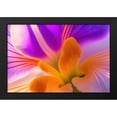 thumbnail image 2 of Stephen Chambers 18x13 Black Modern Wood Framed Wall Art Titled - Flower3, 2 of 6