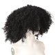 thumbnail image 5 of Peluca de Cabello rizado negro corto 12 pulgadas fibra química Yuxing para mujer africana con flequillo, 5 of 5