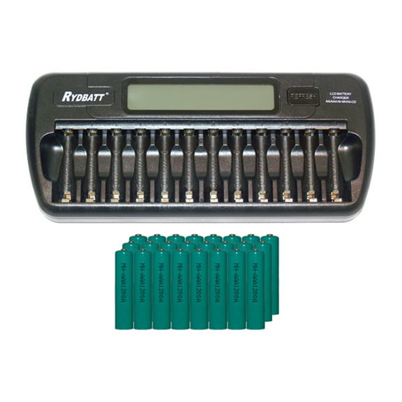 Universal Charger   4 D AccuPower NiMH Batteries (4000 mAh)