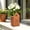 🔥 Coffee M_New, variant on Gifts YYV Rustic House Candle Holder Flower Pot Dual Use Tabletop Lantern Planter Metal Garden Home Decor Weathered Cottage Style Candle Stand Plant Container Accent