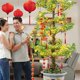 thumbnail image 4 of 6 Pieces Chinese Knot 2022 Gold Chinese New Year of Tiger Charm Decorations Tiger Year Feng Shui Coins Red Hanging Chinese Feng Shui Decorations with, 4 of 4