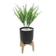 thumbnail image 1 of PLANTA DECORATIVA ARTIFICIAL ZENSE ELÓN NEGRO, 1 of 4
