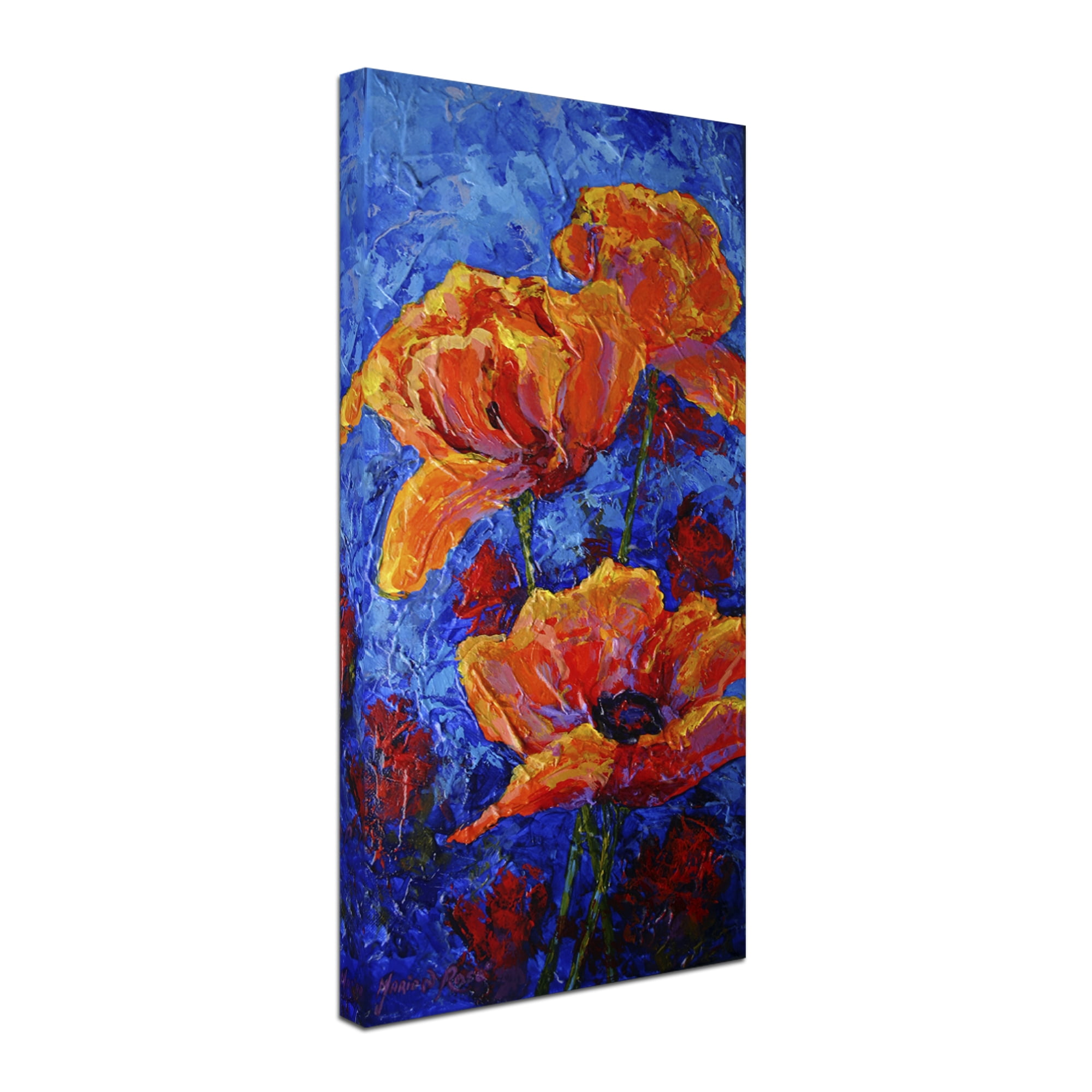 Trademark Fine Art 'Poppies II' Canvas Art by Marion Rose