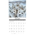 thumbnail image 3 of Animal Selfies 2026 Wall Calendar, (Paperback), 3 of 5