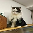 thumbnail image 3 of Pet Harry Potter Magic Cloak Cyber Popular Cloak Embroidered Spring and Autumn Dog Shawl Cat COS Fashion Clothes, 3 of 6