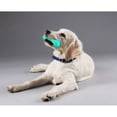 thumbnail image 3 of para masticadores agresivos, juguete para masticar perros con cepillo de dientes resistente, juguetes de goma casi indestructibles para entrenamiento de mascotas,, 3 of 4